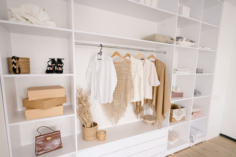 Closet Organization Vs Diy Storage Systems